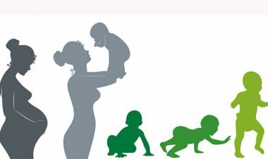 El rol de la alimentación en los primeros 1000 días de vida