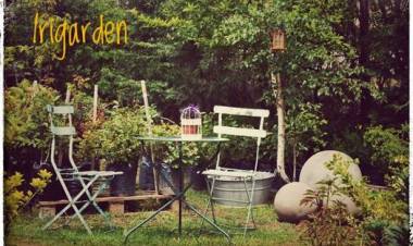 ¿Qué hacemos en otoño con el césped?