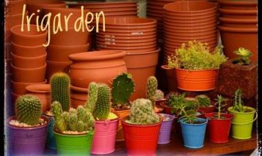 Jardines: Como prepararse en los meses de frío para arrancar en primavera  