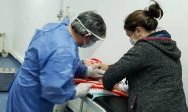 Primera semana de vacunatorio en la Unidad Formenti: 532 personas alcanzadas