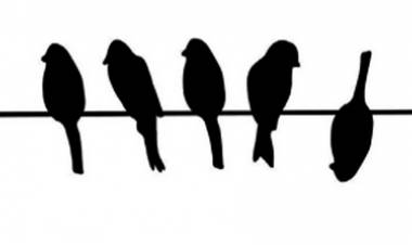 No quiero volver a la normalidad – por la Dra. Paula Canda