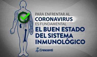 Sistema inmunológico: el principal aliado del organismo para mantenernos saludables