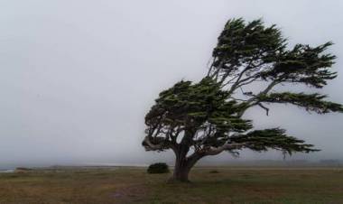 Soplando - por Omar Álvarez
