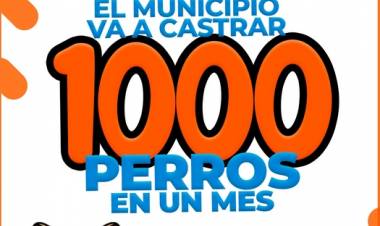 Promueven castración masiva en El Calafate