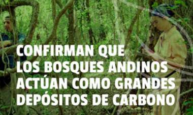 Cuidarlos, protegerlos