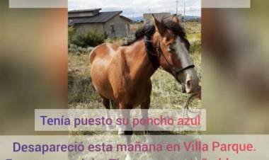 Insólito e inadmisible