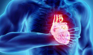 Muerte súbita ¿Podemos Prevenirla?