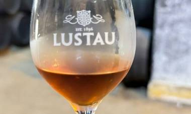 El mundo de los vinos de Jerez - por Leo Saracho