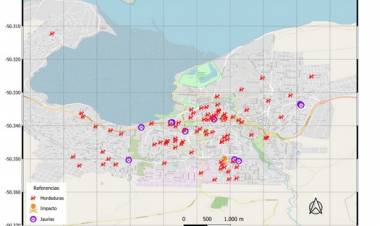 Perros sueltos y mordeduras: un tema  recurrente de agenda