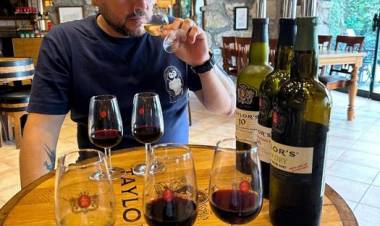 Una década de disfrute junto a Carta Abierta - Leo Saracho