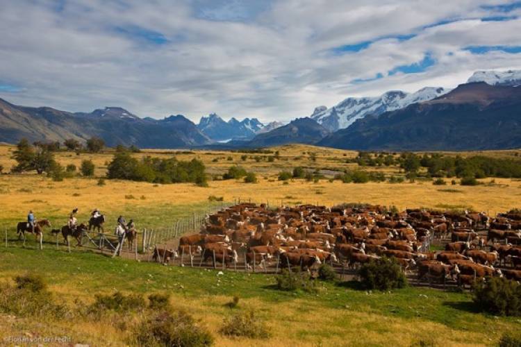 Turismo: Gran arreo en Nibepo Aike