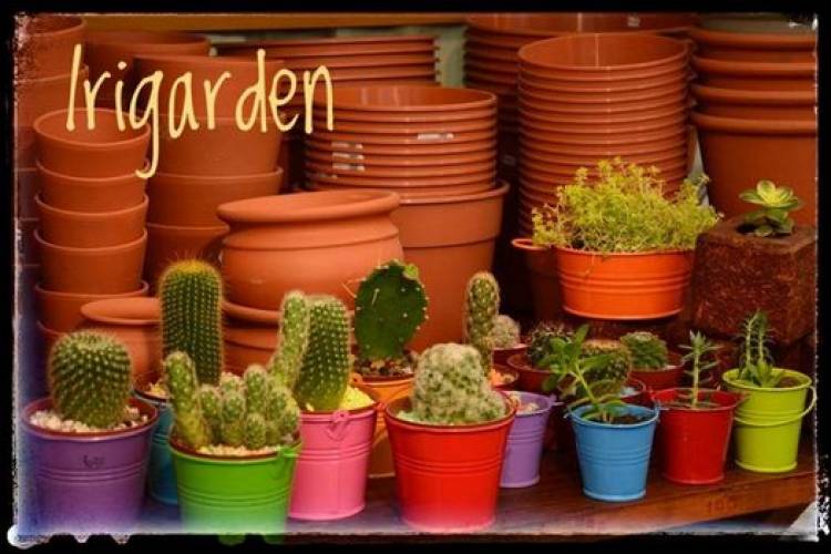 Jardines: Como prepararse en los meses de frío para arrancar en primavera
