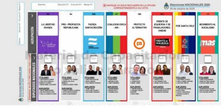 Misceláneas electorales