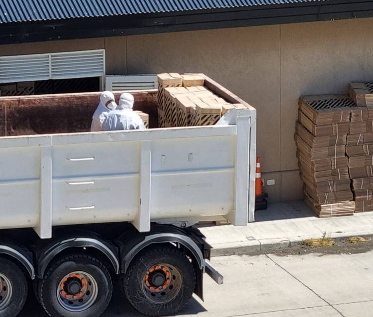 Comenzó el retiro de residuos patológicos en El Calafate